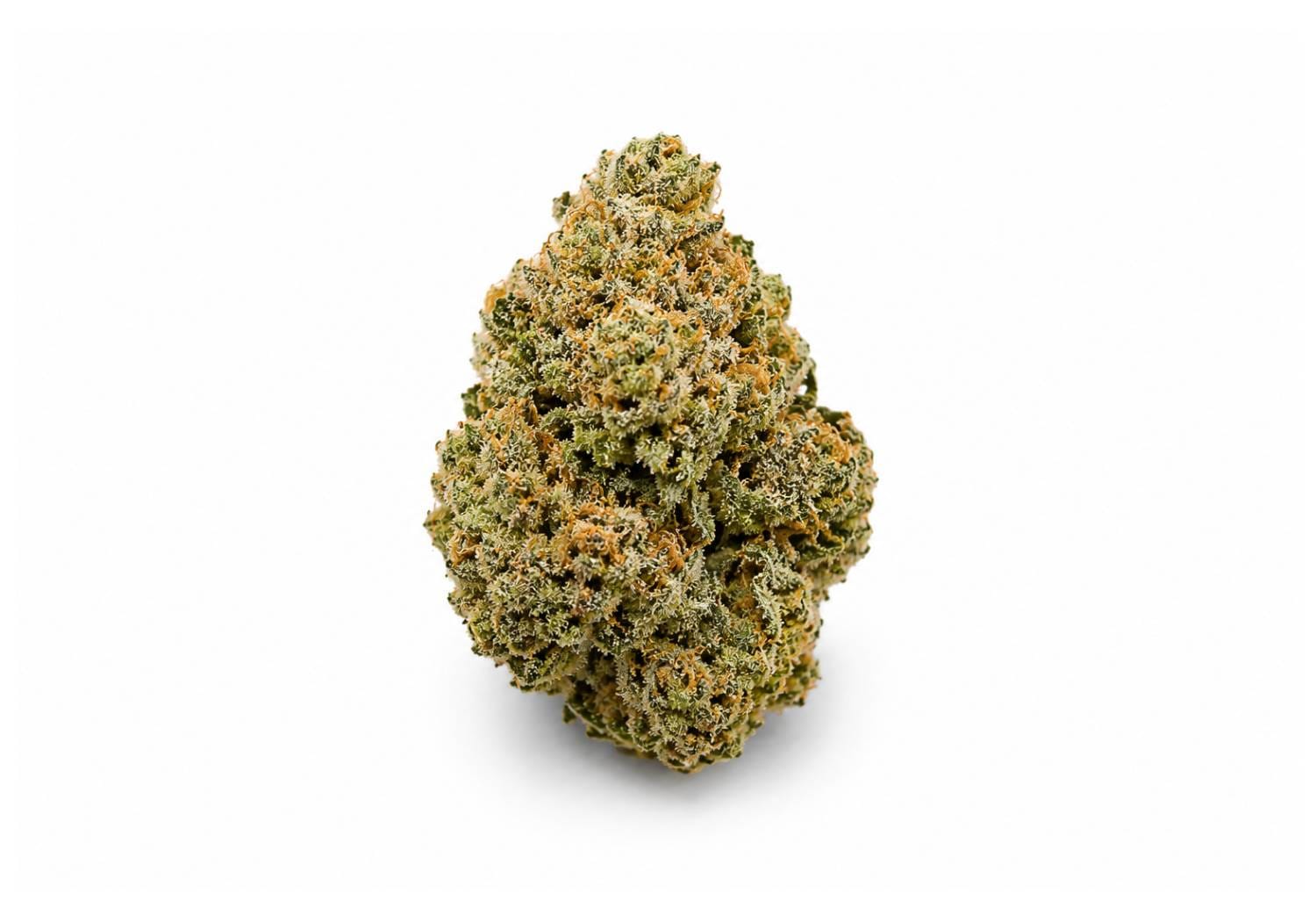 OG Kush cannabis strain at Weed Keeper Samui